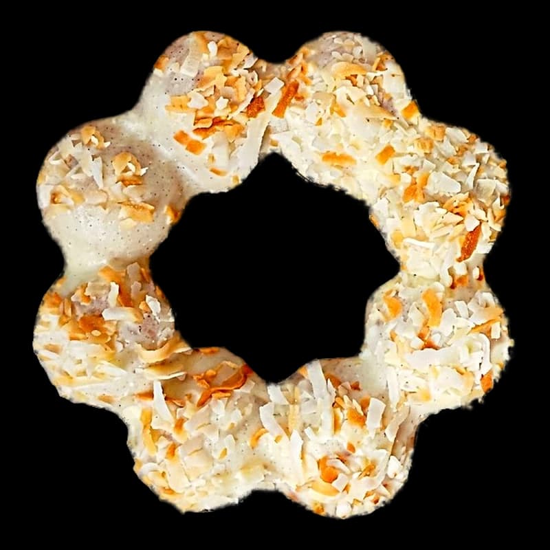 Coconut – Mochi Donuts